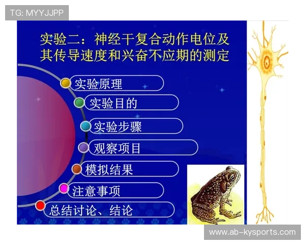 10毫秒的差距:解析职业选手在“一闪”操作中的神经传导速度。 10毫秒的差距:解析职业选手在“一闪”操作中的神经传导速度。